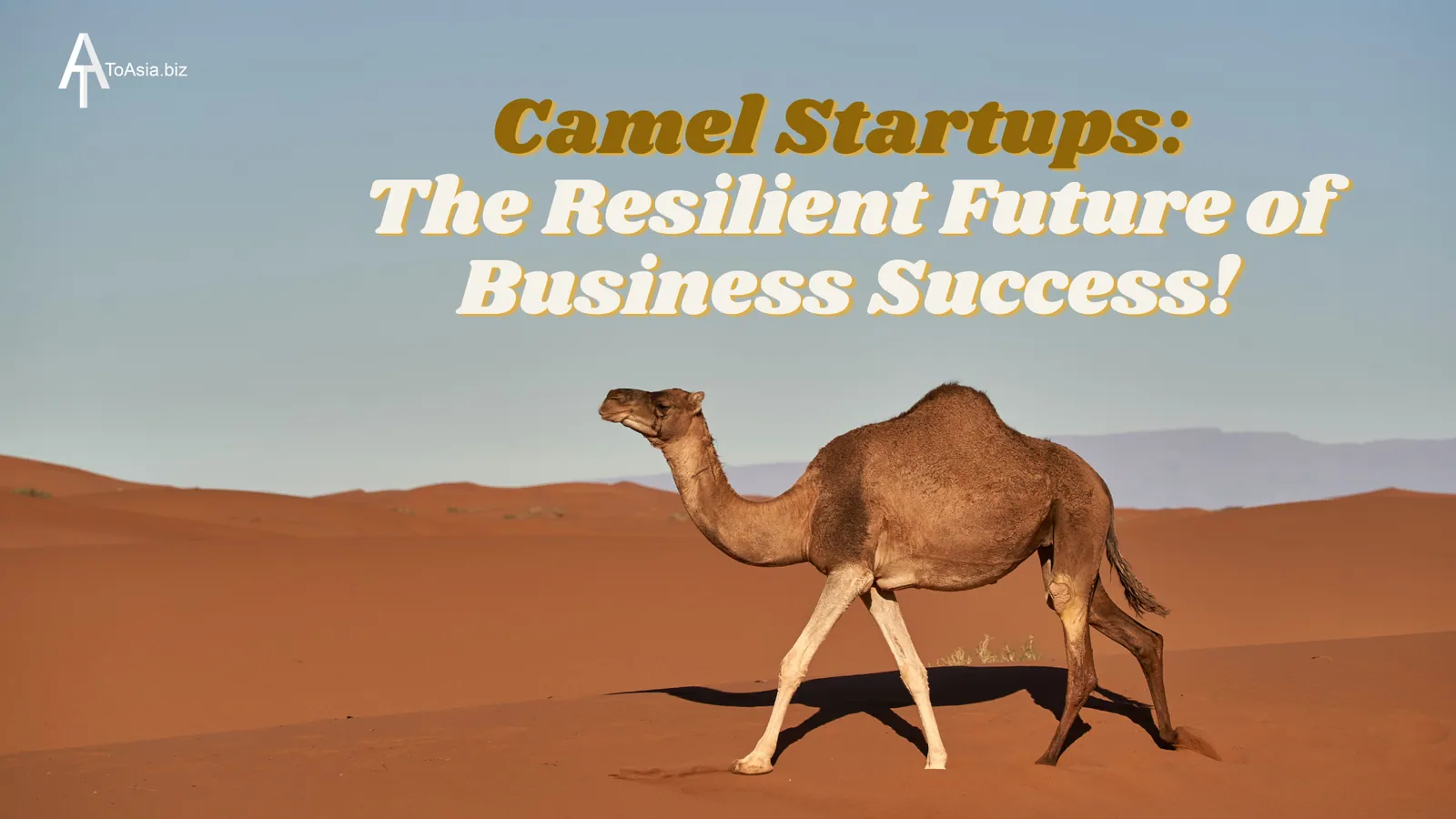 Camel Startups: The Resilient Future of Business Success!