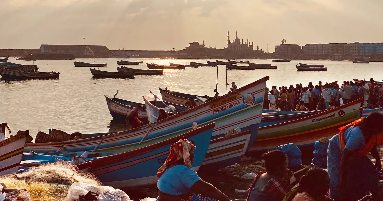 Market Opportunities: India