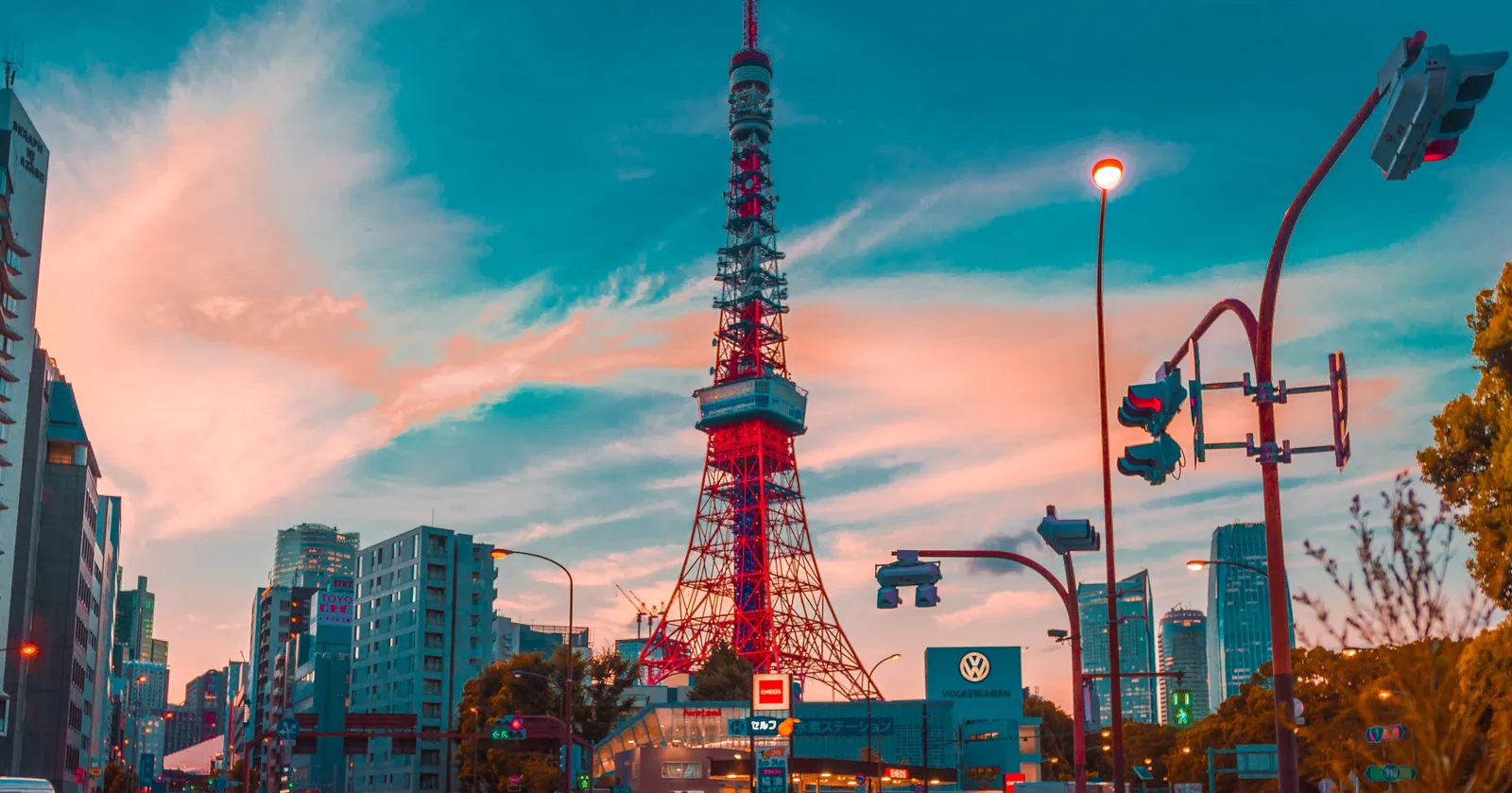 Market Opportunities : Japan